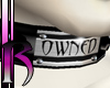 'Owned' Black PVC Collar