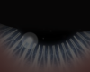 Eye Blue