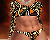 BBW Swimwear 2025