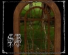 sb forest window wood