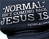 Normal vs Jesus