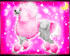 Pink Poodle Dog Pet