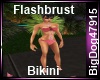 [BD] Flashbrust Bikini