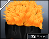 Z:: Ma. Heph Hair 5