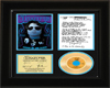 :) The door Gold disk