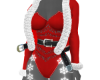 Merry Christmas✮