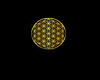Gold and black w