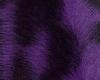 PurpleLeopard2