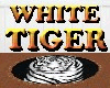 WHITE TIGER GOLDEN TRIM