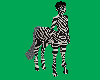 Zebra Skin m2