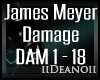 James Meyer - Damage