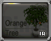 [IR] Orange Tree
