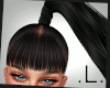 .L. Windy Pony Ebony