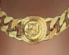 MVeVRSC CHOKER