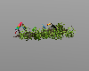 Parrots