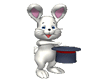 conjurer bunny3Danim...