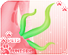 [Pets] Xedu | seaweed L
