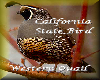 CALIFORNIA STATE BIRD
