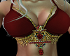 Belly Dance Bra ruby