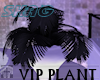 SHAG VIP Plant