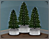 ♥ Holiday Trees