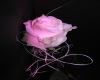 ~HM~ Pink Rose