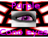 Purp. cono eyes F (CAT)