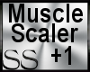 *SS Muscle Scaler +1