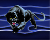 BLUE PANTHER CLUB
