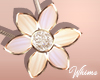 Spring Daisy Necklace Cr