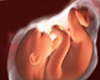 Single Baby Inside Tummy