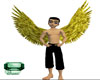 Animated Gold wings m
