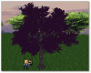 [RQ]Purple Tree Swing