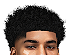 VINI FRO NEW