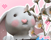 p. easter bunny