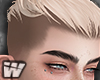 🐺Seiya - Blonde