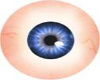 (BR) Female Blue Eyes