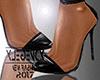 ✠RGB◤ShoeS◢