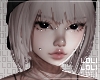 お. kidd veil