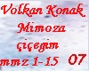 Volkan Konak Mimoza C,