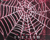 ░ Spiderweb 1﹗