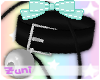 {Zu} Leash&Collar Black