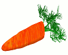 EASTER CARROT W/POSES