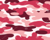 pink army shorts