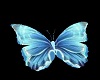 Blue,Anime,6,Butterflies