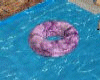 Purple Razz Pool Tube