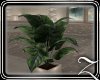 ~Z~Forever Planter 6