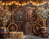 Country Wall 3D