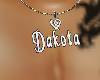 (MTA) Dakota Silver bl