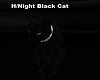 H/Night Black Cat